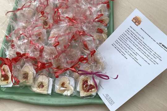 Pátek u medvídků 1