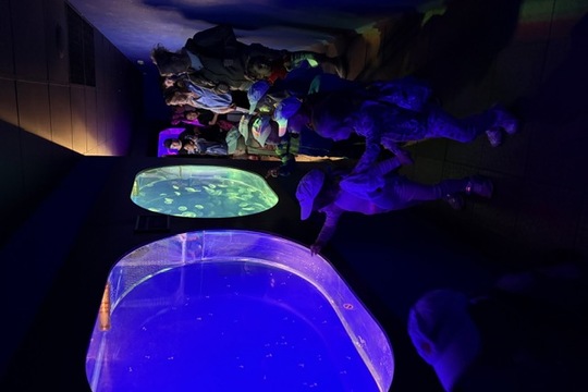 MŠ Sluníčko na výletě - Zoopark Chomutov 1