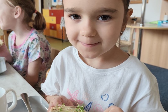 Pěstování řeřichy 1