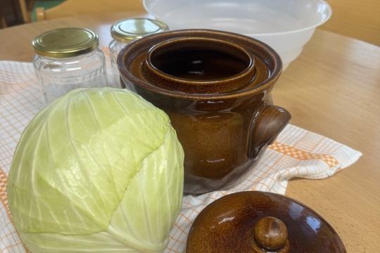 Nakládané zelí 1