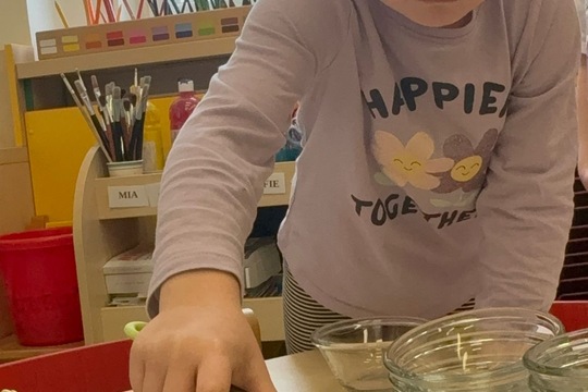 Vlastní ovocný salát  1