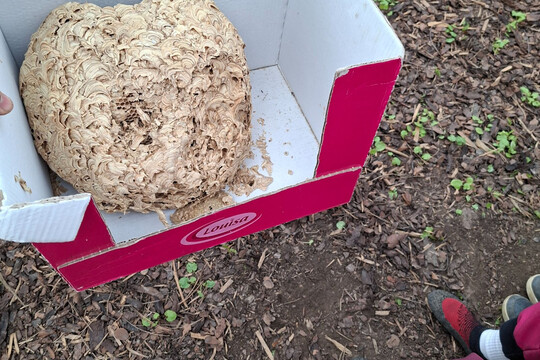 Včelař ve školce 1