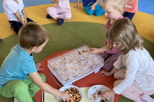 Ochutnávka křížal - Berušky 1