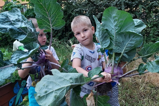 Zahrádka nás odměňuje 1