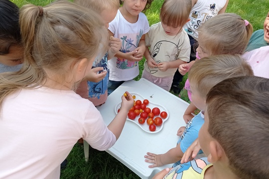 Naše zahrádka v prvním školním týdnu: sklízíme a uklízíme 1