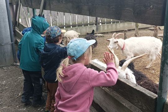 Farma s domácími zvířaty – Duběnka 1