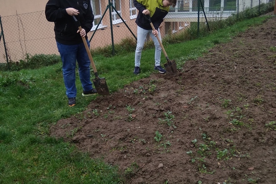 Podzimní práce na školním pozemku 1