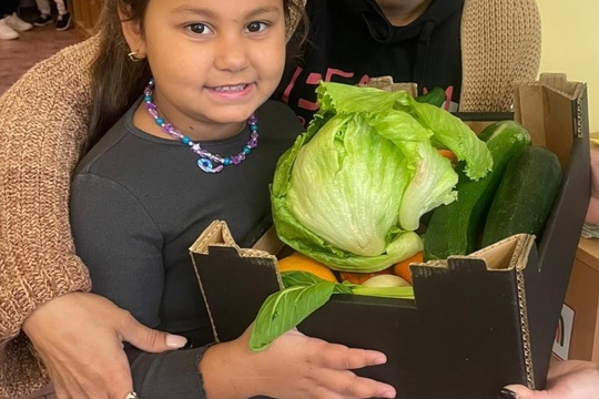 Zdravý McDonald's Zdravý McDonald's 1