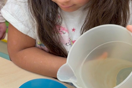 Ledová lednová krmítka  1