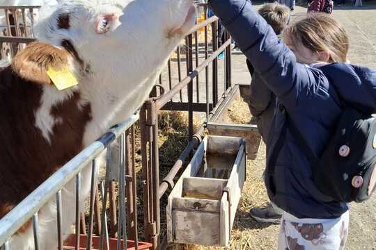 Výlet na Zlatou farmu  1