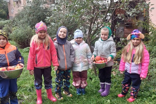 Sušenky z jablíček a mrkve ze školní zahrady 1