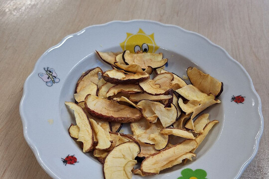 Třída Želviček - Sušení šípků na čaj 1