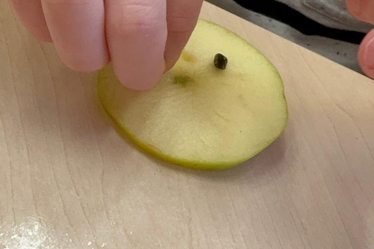 Vnímáme přírodu  1