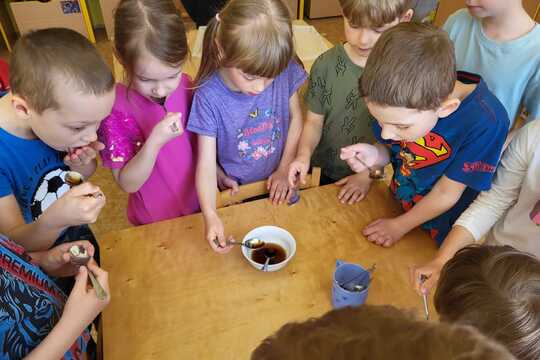 Pampeliškový med - Sluníčka 1