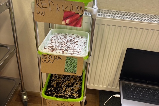 Projekty SZŠ v MŠ Jakubčovicích 1