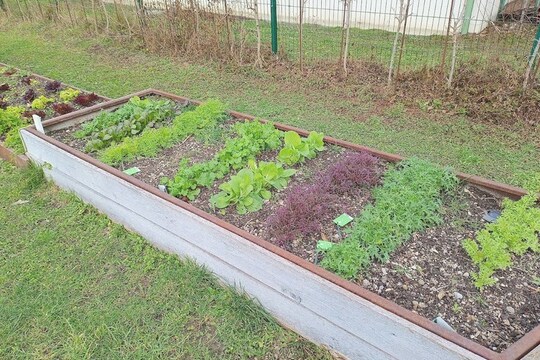 Regionální setkání partnerů a škol v projektu SchoolFood4Change ve Vídni 1