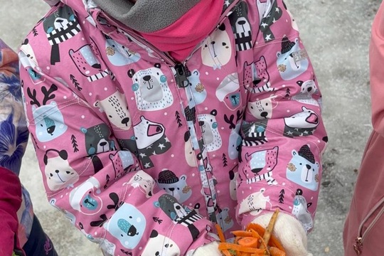 Ptáci v zimě Ptáci v zimě 1