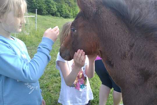 Návštěva farmy "Appaloosa". 1