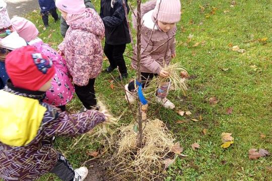 Příprava zahrady na zimu. 1