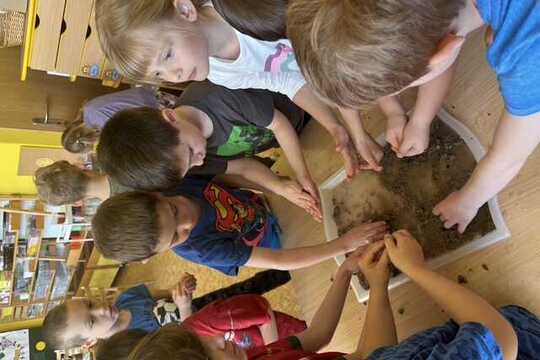 Výroba seeds bombs - Sluníčka 1