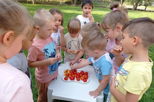 Naše zahrádka v prvním školním týdnu: sklízíme a uklízíme 1