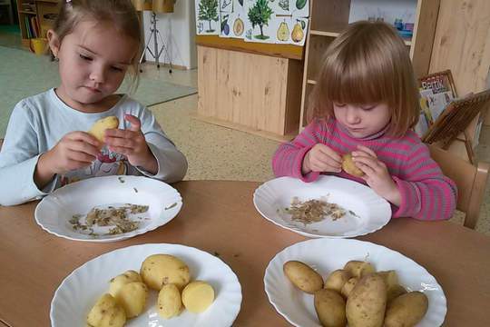 ŠEL ZAHRADNÍK DO ZAHRADY V MŠ MÁNESOVA  KROMĚŘÍŽ 1