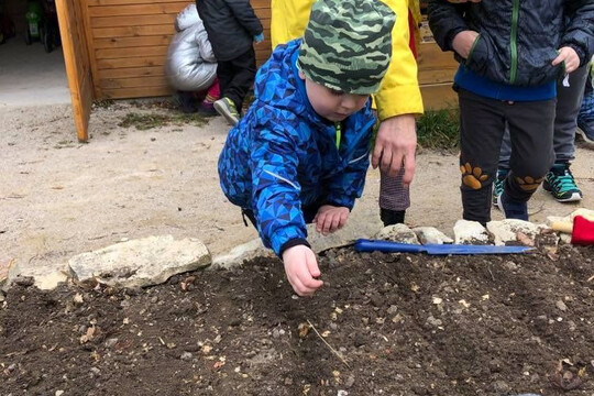 Již máme zaseto a zasazeno 1