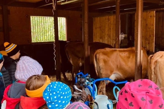 Zdravý život na farmě i ve škole 1