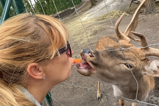 Smíšk♥️vé mají Smíška 1