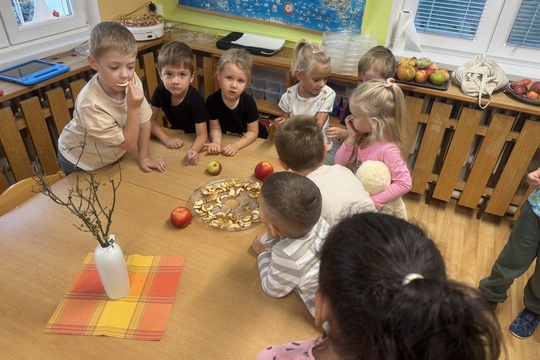 Zdravá pochoutka z jablek 1