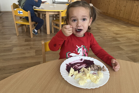 Svatomartinské menu ze školní jídelny 1