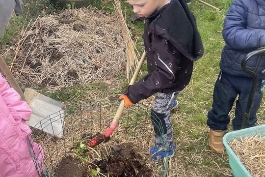 Když kompost ožívá 1