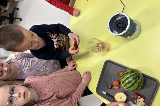 Smoothie s chutí 1