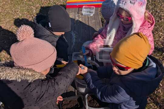 Sázení rostlinek 1