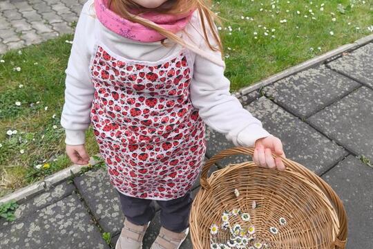 Cesta za tajemstvím babiččiny kuchyně: JARO a SÍLA probouzející se přírody 1