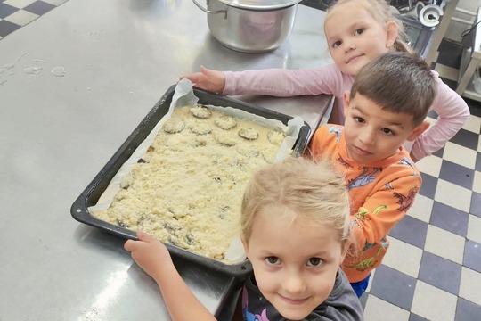 Švestkový koláč s drobenkou Švestkový koláč s drobenkou 1