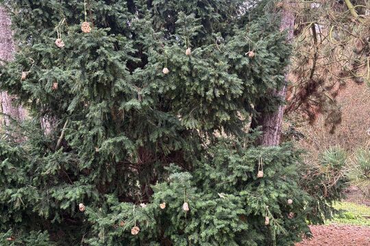 Návštěva Zoologické zahrady 1