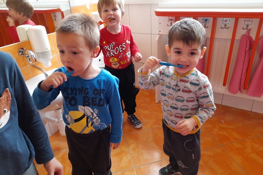 Zubínek a Pořádníček u nás doma 1