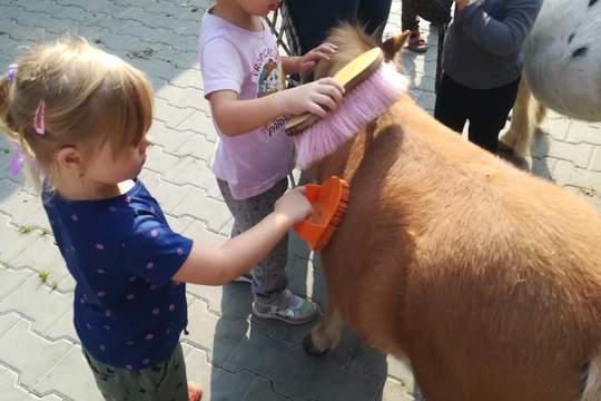 DĚTI Z MŠ MÁNESOVA  KROMĚŘÍŽ  NA FARMĚ  1