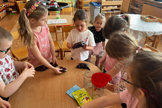 Vejce a červené zelí - Kytičky 1