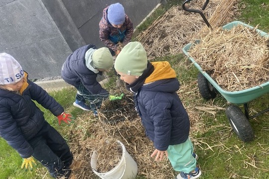 Když kompost ožívá 1