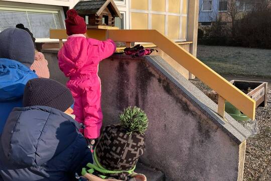 Krmení pro ptáčky z jablíček 1