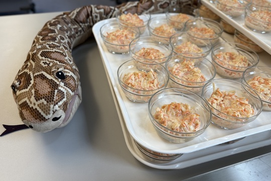 Maškarní veselí ve školní jídelně: když oběd chutná i baví Maškarní veselí ve školní jídelně: když oběd chutná i baví 1