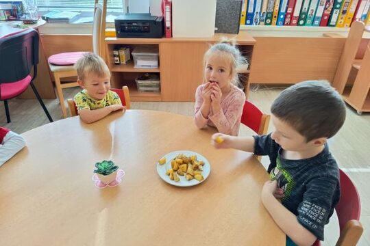 Pečené brambory v zahradní peci Pečené brambory v zahradní peci 1