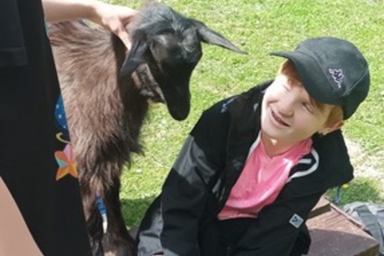 Čtvrťáci poznávali život na farmě i principy ekologického zemědělství Čtvrťáci poznávali život na farmě i principy ekologického zemědělství 1