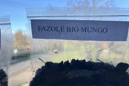 UČÍME SE PROŽITKEM aneb naše fazole 1