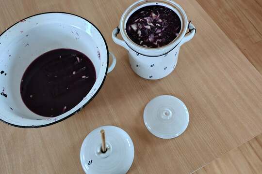 Pickles kvašená zelenina 1