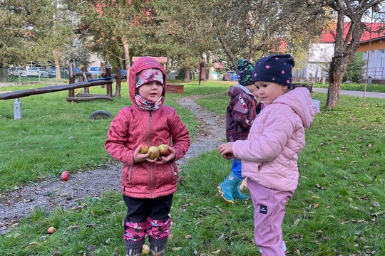 Moštování našich JABLÍČEK 1