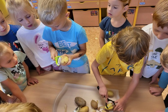 Vaříme brambory - Sluníčka 1