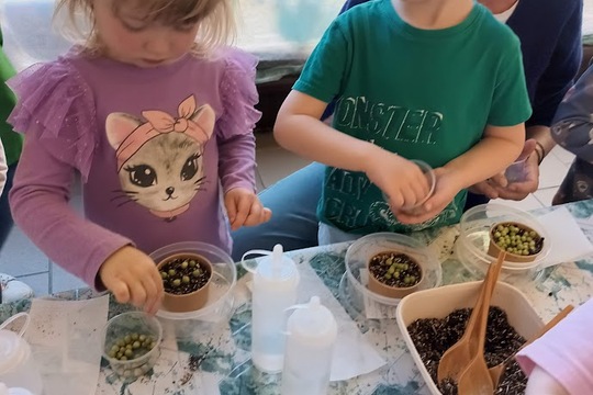 Učíme se pěstovat Microgreens 2 Učíme se pěstovat Microgreens 2 1